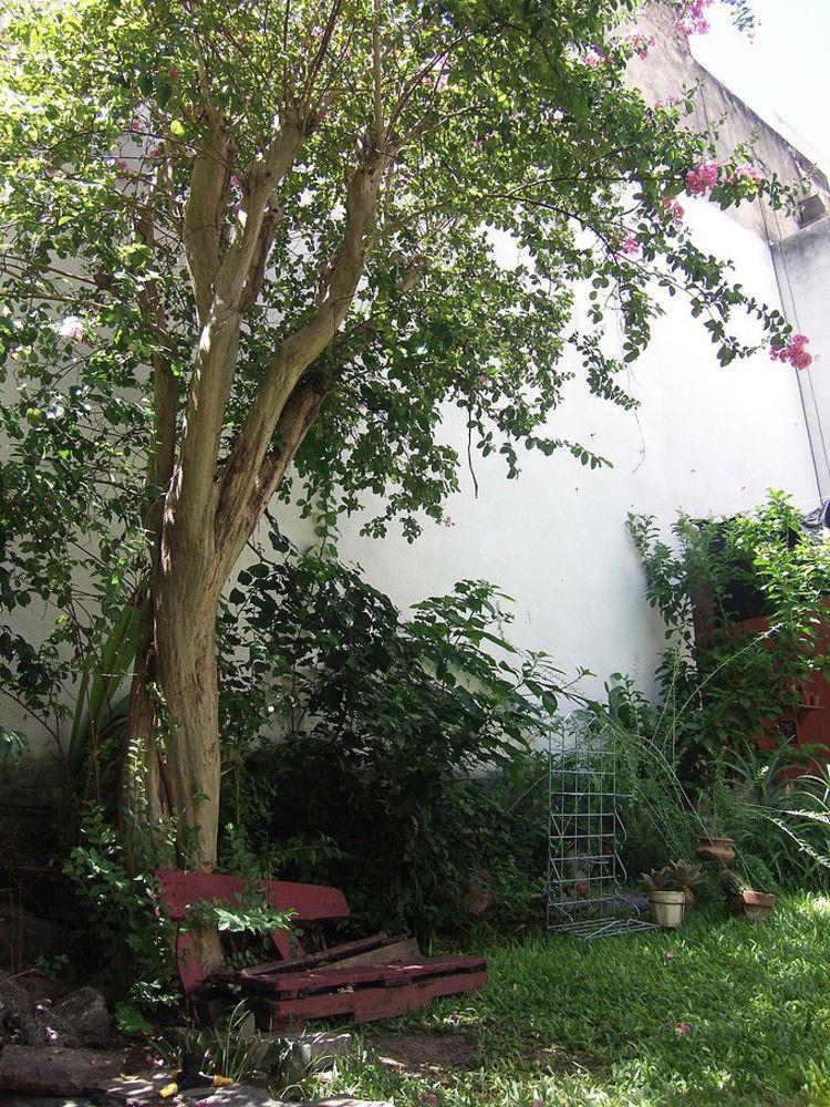 רוסאריו La Lechuza Hostel מראה חיצוני תמונה
